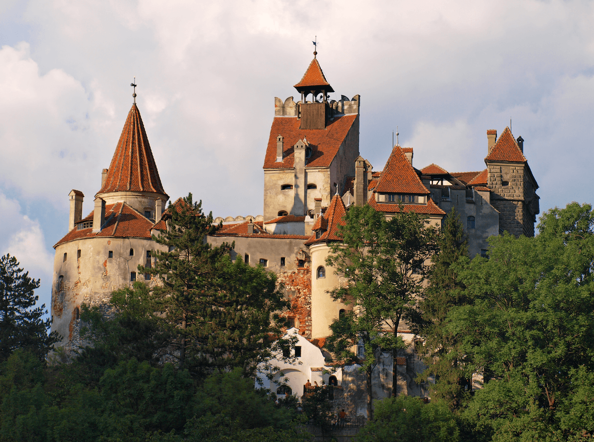 Bran